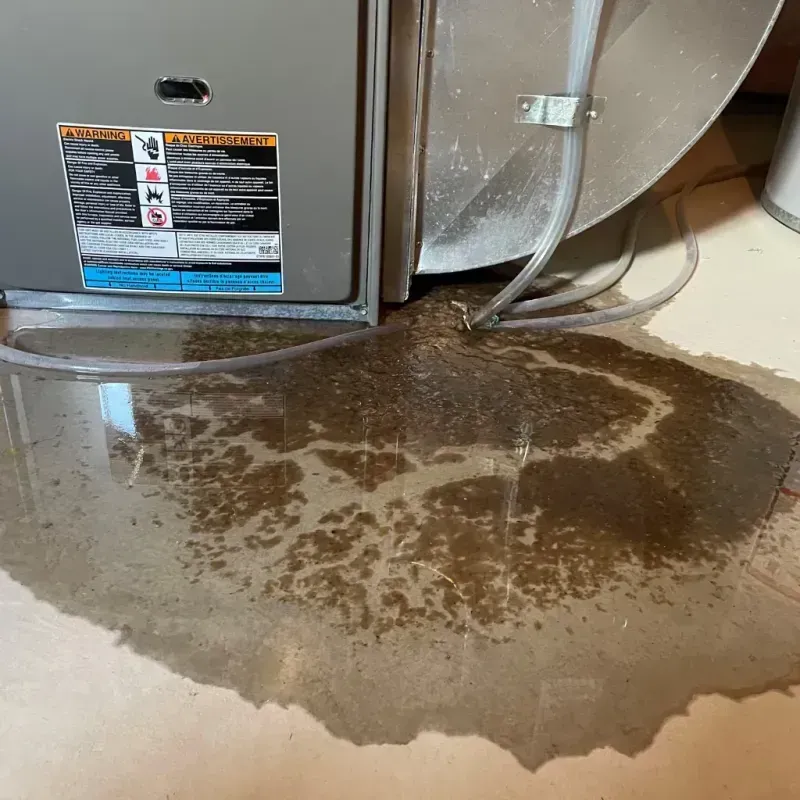 Appliance Leak Cleanup in Vermilion, OH